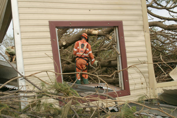 Buena Park, CA Tree Removal Company